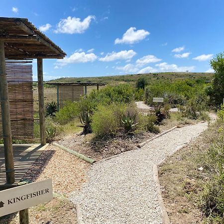 Garden Route Game Lodge Albertinia Exterior foto