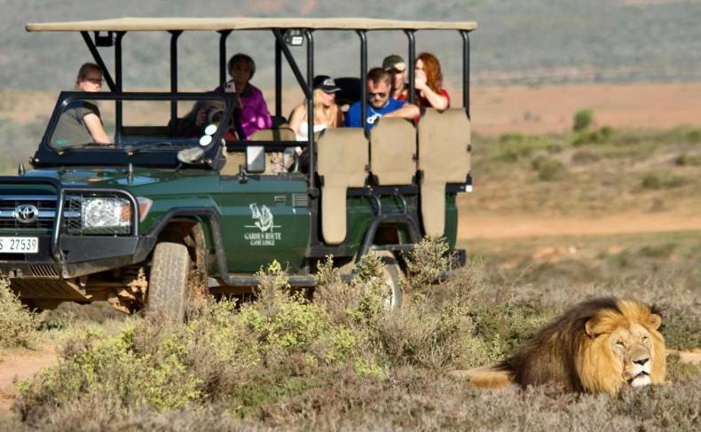Garden Route Game Lodge Albertinia Exterior foto