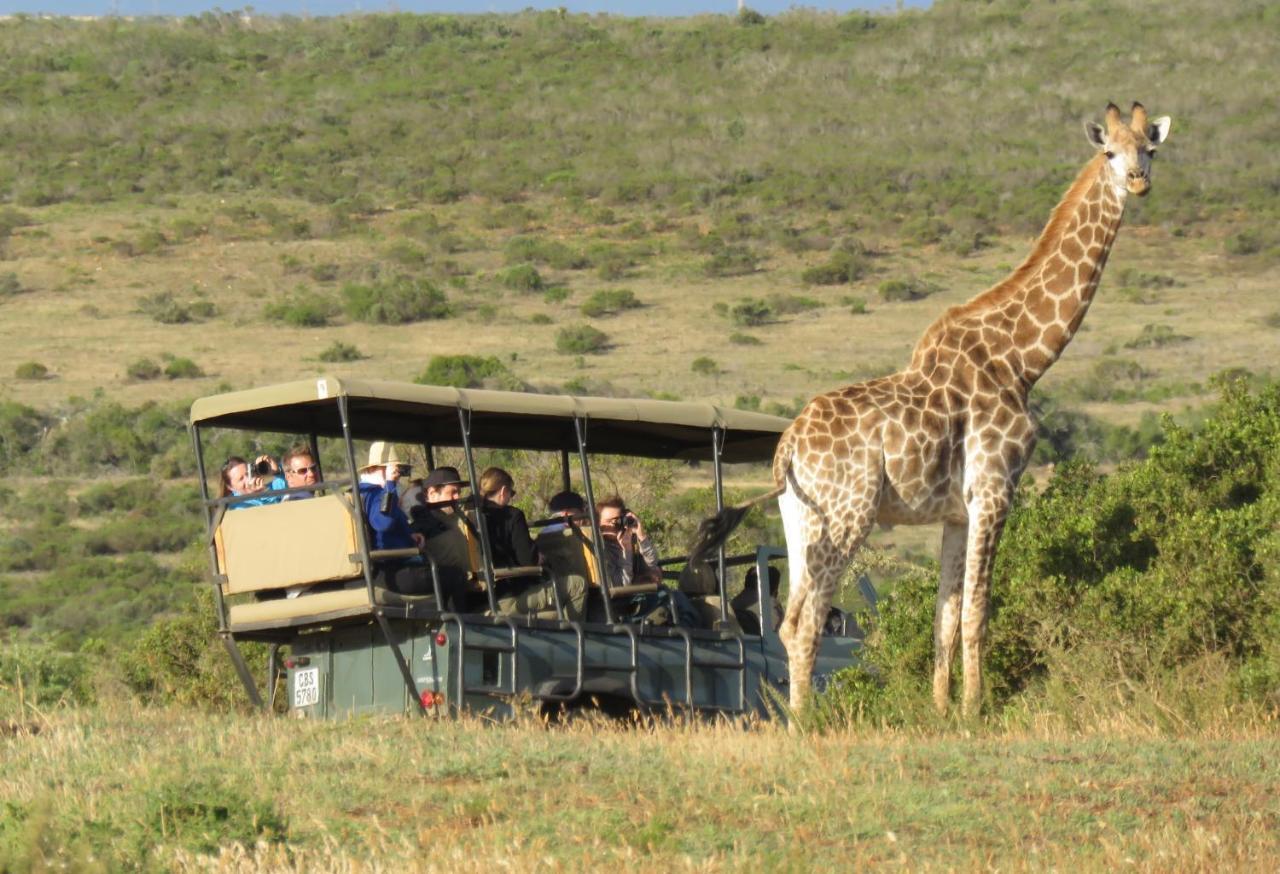 Garden Route Game Lodge Albertinia Exterior foto