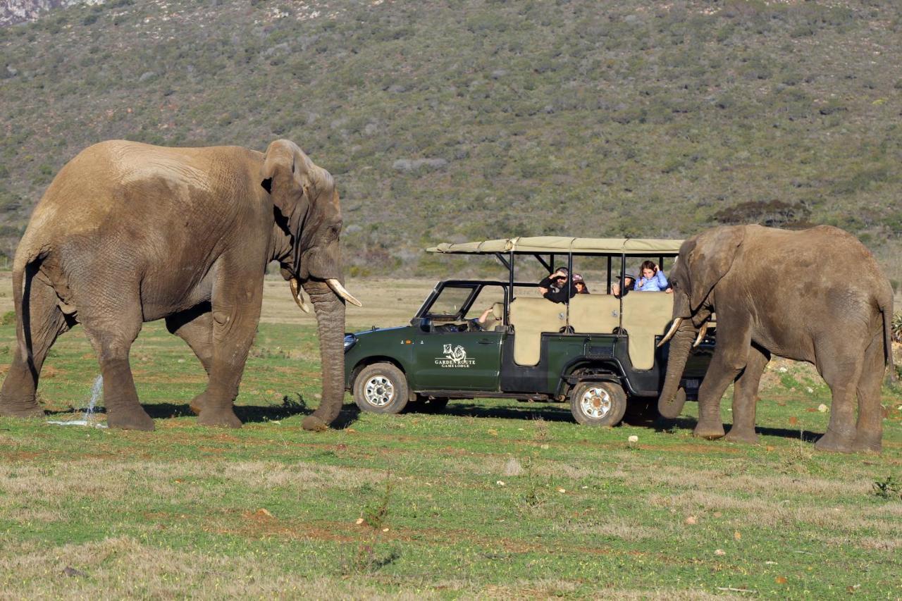 Garden Route Game Lodge Albertinia Exterior foto