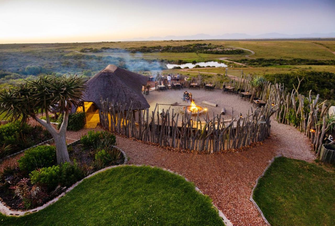 Garden Route Game Lodge Albertinia Exterior foto
