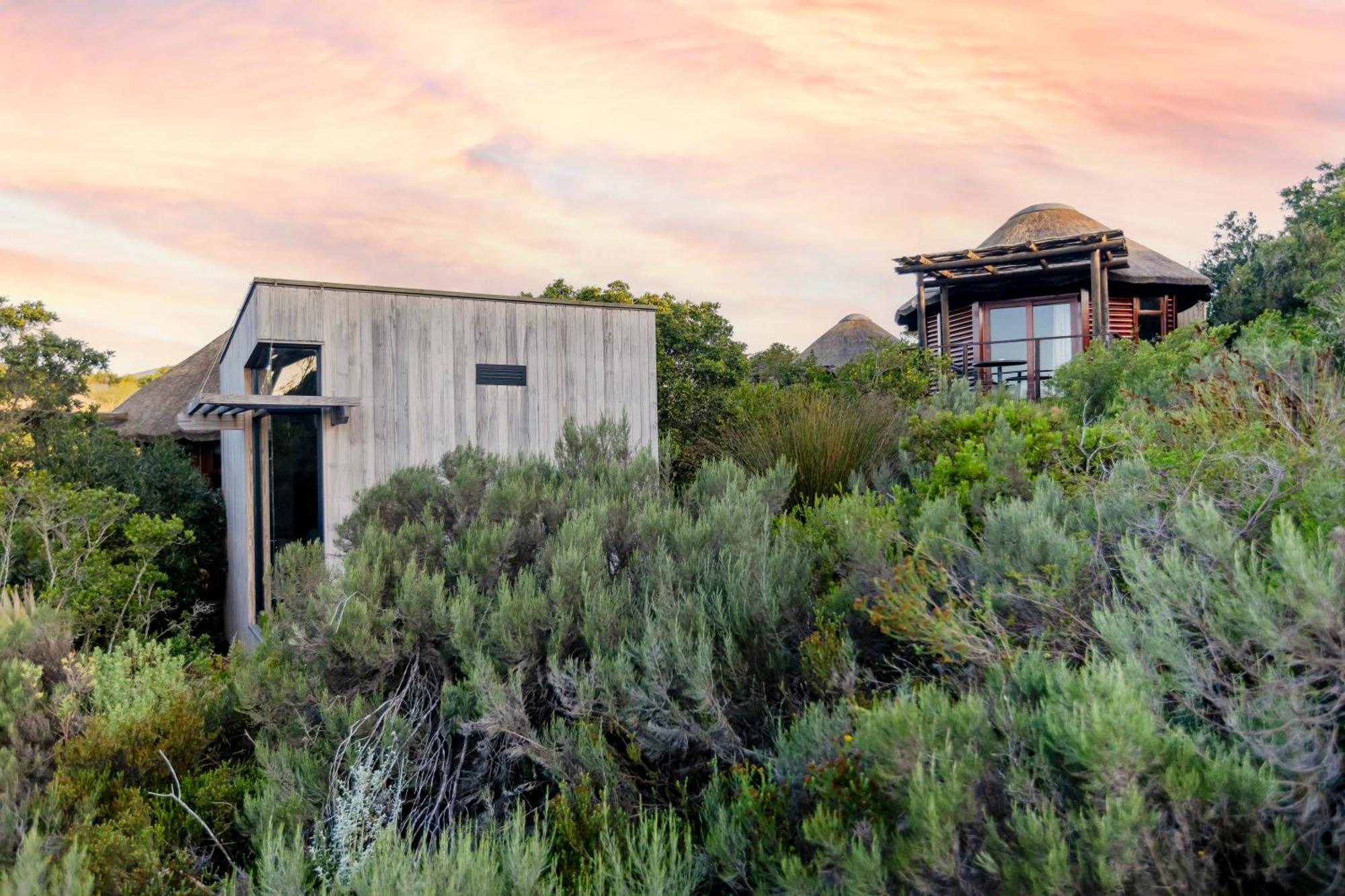 Garden Route Game Lodge Albertinia Exterior foto