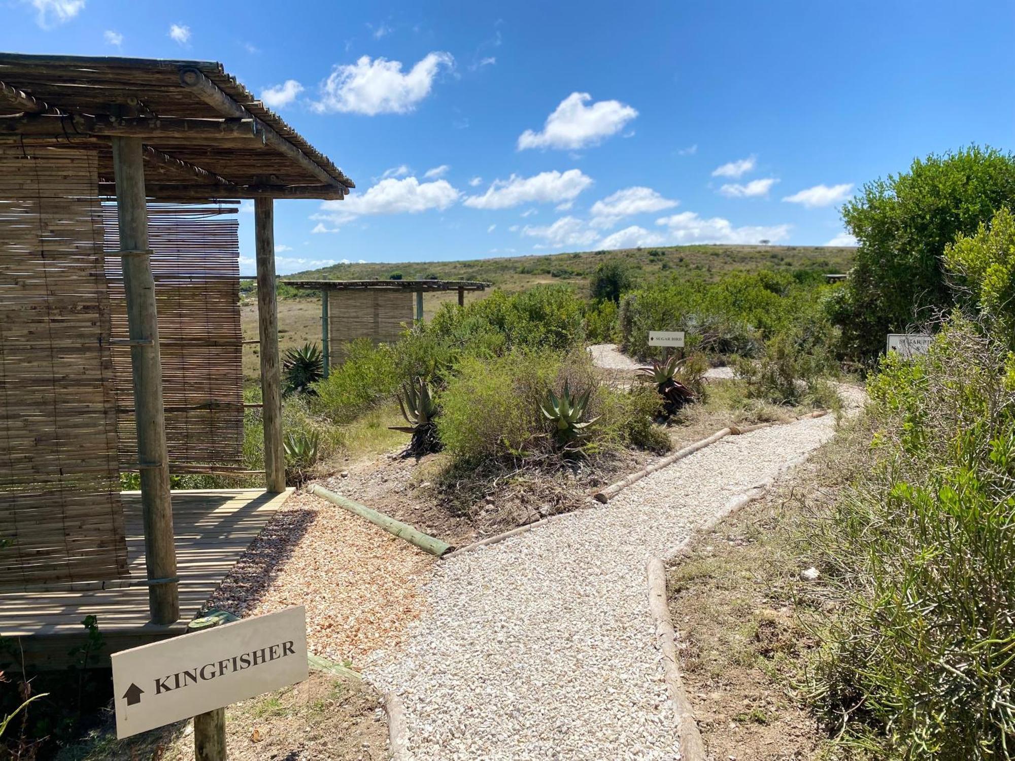 Garden Route Game Lodge Albertinia Exterior foto