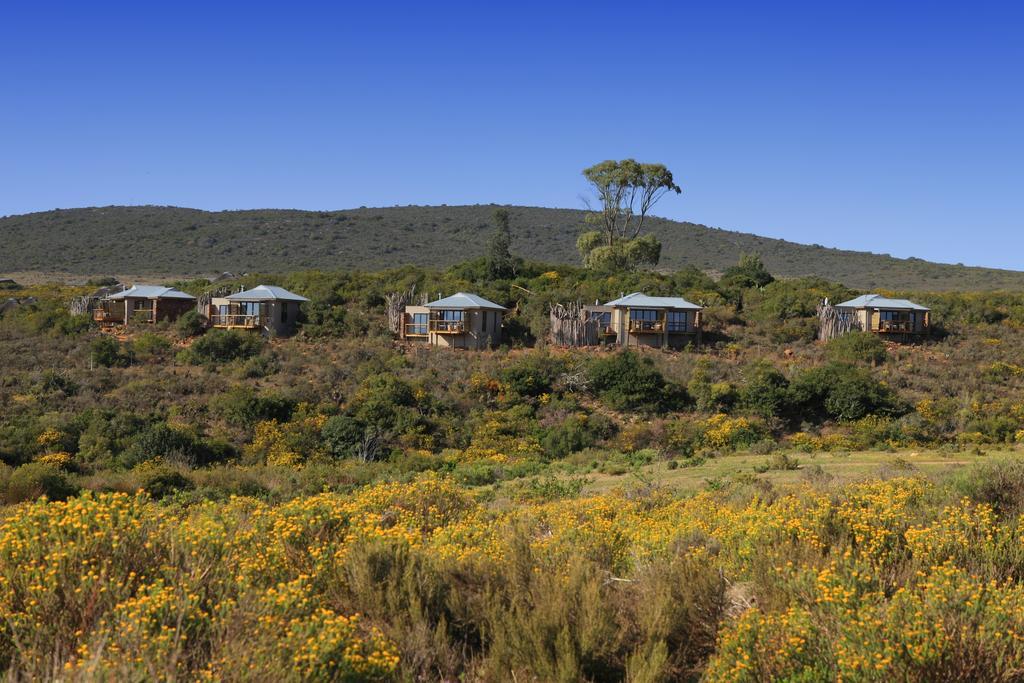 Garden Route Game Lodge Albertinia Exterior foto