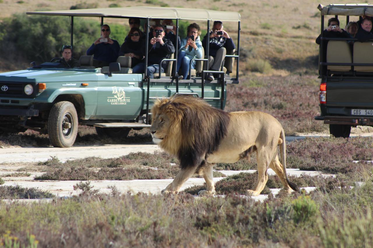 Garden Route Game Lodge Albertinia Exterior foto